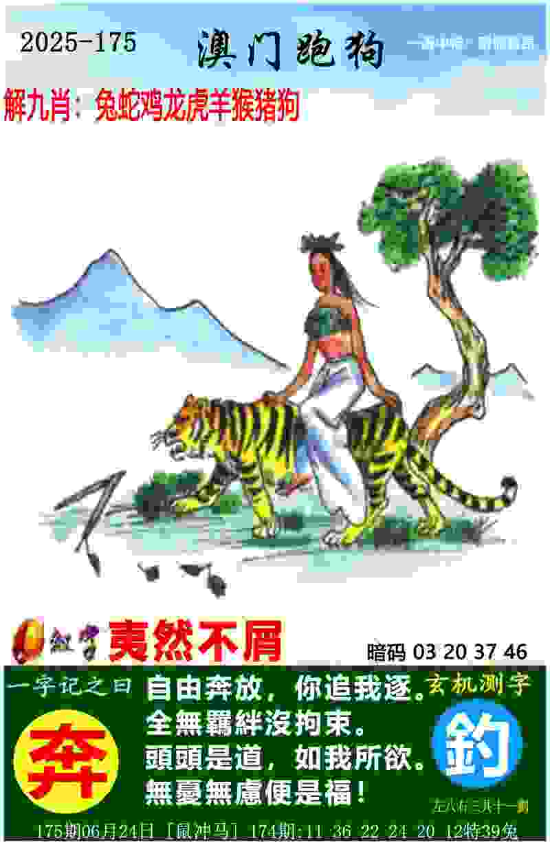 王成快转会延边龙鼎：大连英博中场的职业新篇章