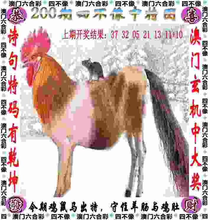 >新门内部资料内部网站1